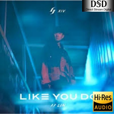 【林俊杰】Like You Do 如你